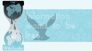 Wikileaks - Operation Payback
